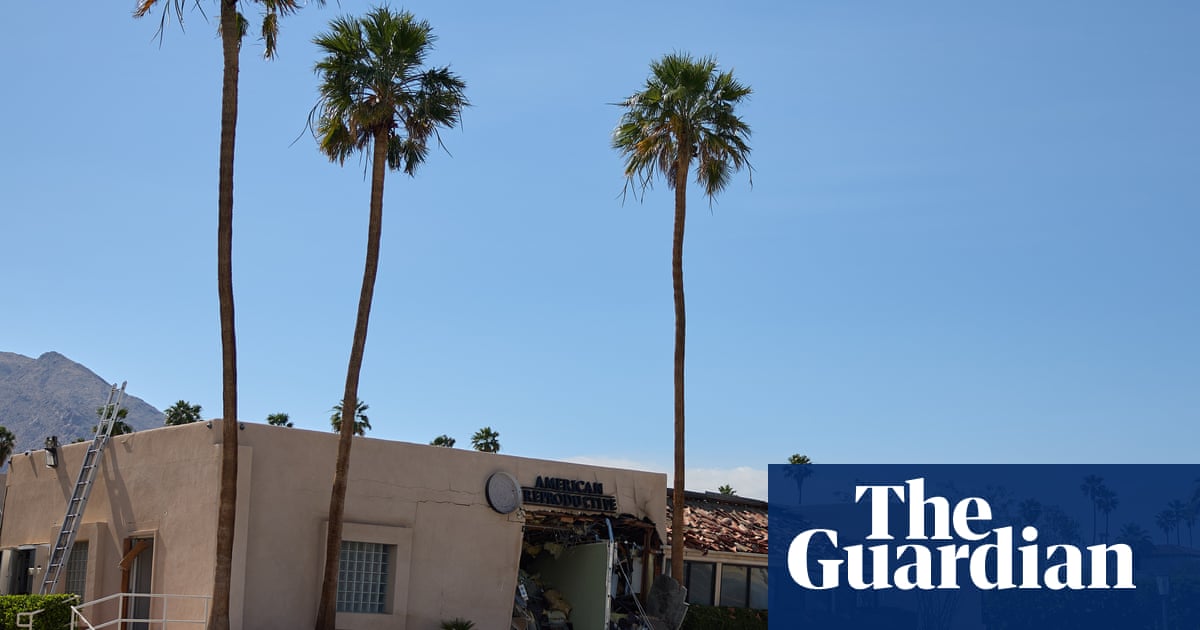 A rabbit hole of paranoia': what an IVF clinic bombing tells us about young men and online extremism