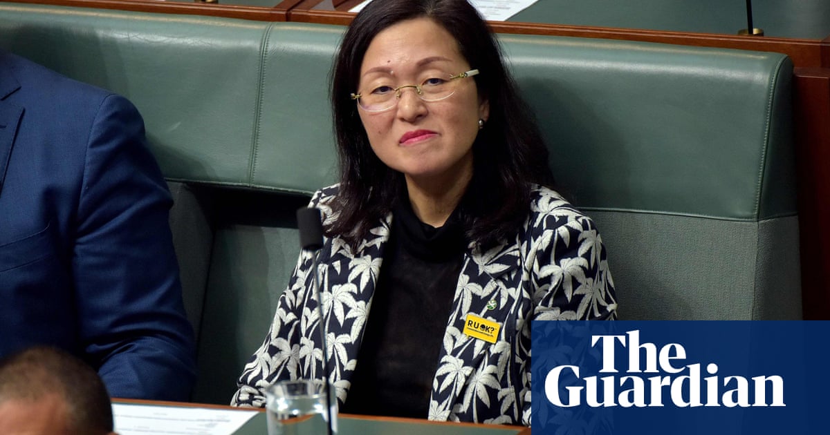 Image result for Australia's Gladys Liu scandal