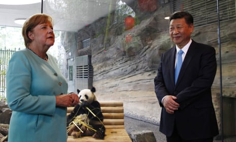 German chancellor Angela Merkel and Chinese president Xi Jinping officially open the new panda enclosure for viewing at Berlin zoo.
