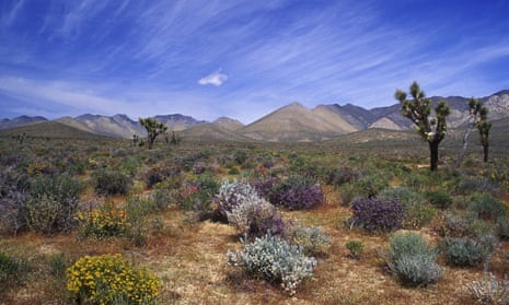 Mojave Trails national monument, which will take in parts of the Mojave Desert, is the largest single monument yet declared by Obama at 1.6m acres.