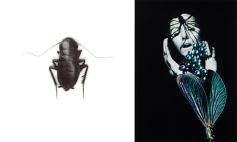 Et in Arcadia, 1995 by Helen Chadwick, left, and Orgasm, 1969/2014 by Penny Slinger