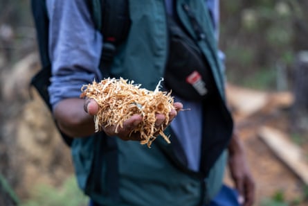 A person whose face cannot be seen holds out a handful of straw-like shavings.