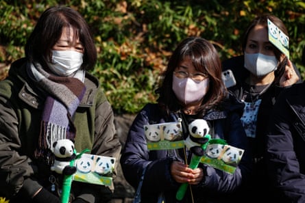 People holding panda toys and flags with pictures of Xiao Xiao and Lei Lei