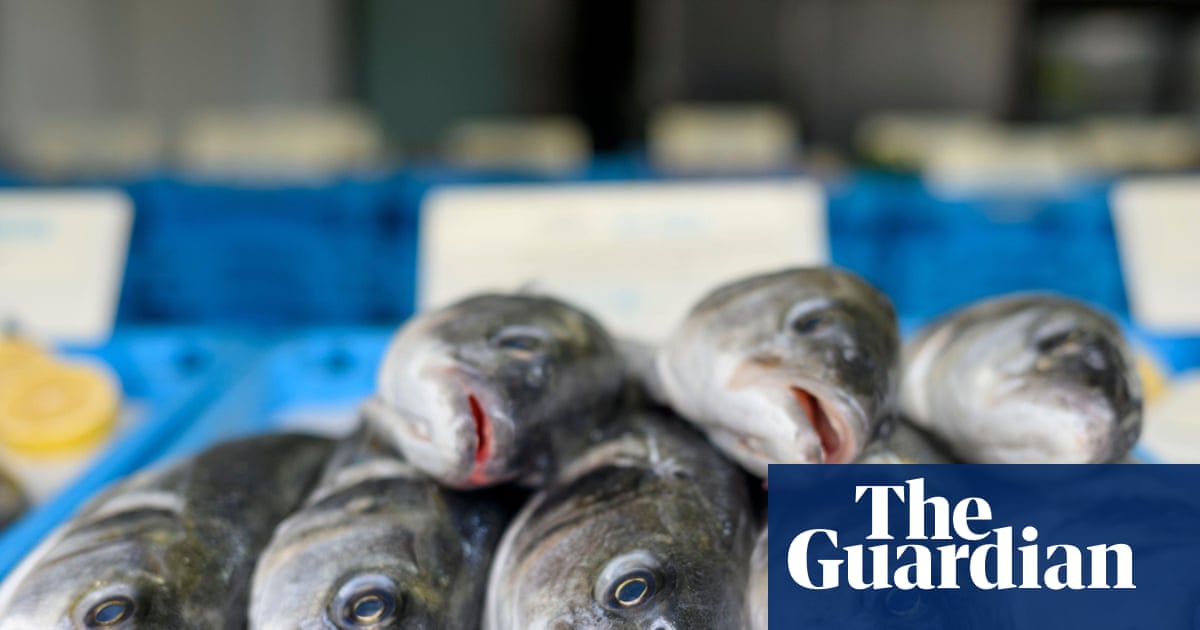 Sea bass: a fish by any other name | Brief letters