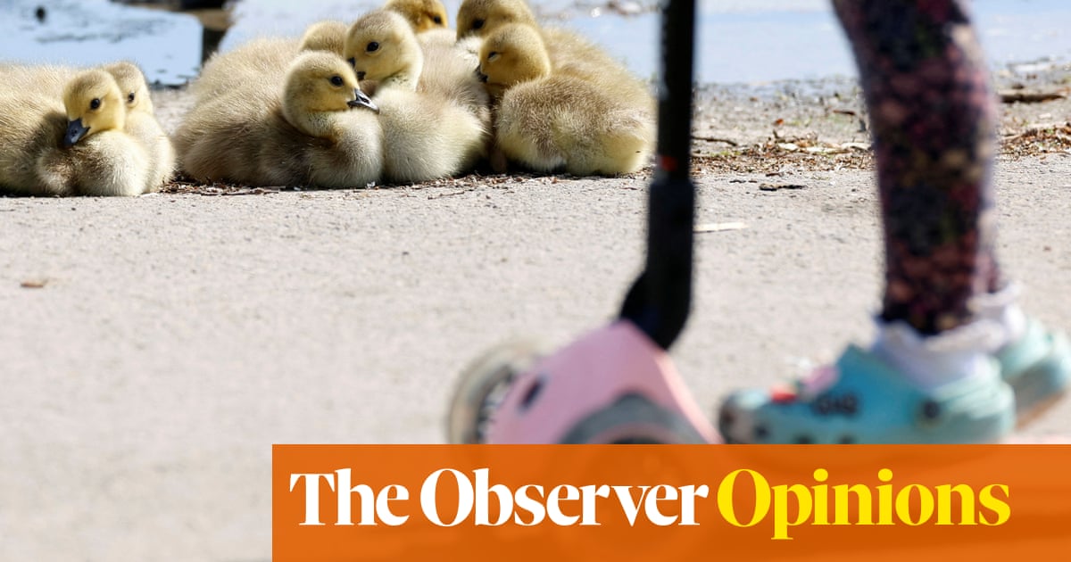 Learning to scoot is all very well, but what's the point if you can't ring your own bell?