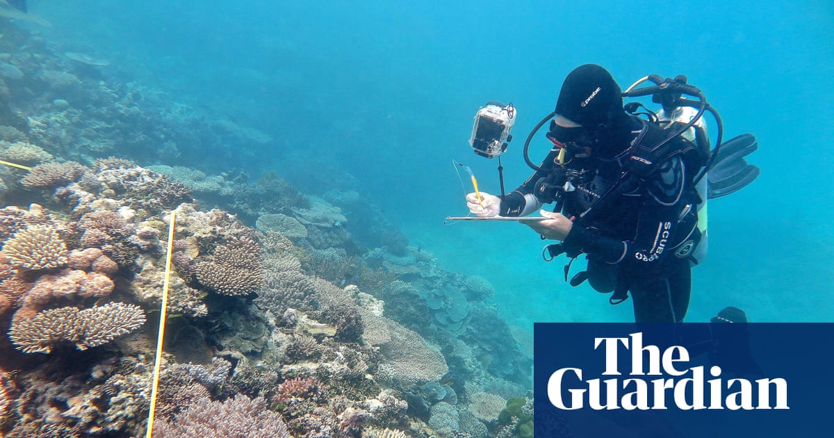Australia pressures Unesco over impact of climate change on Great Barrier Reef - The Guardian