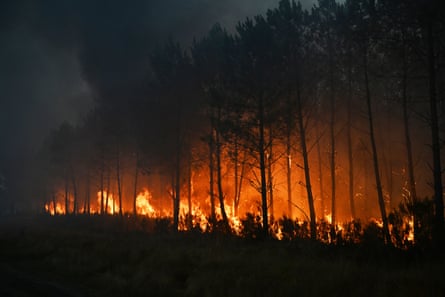 A night shot of pine trees in flames