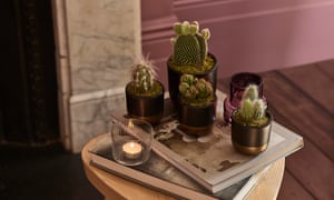 The final word Christmas present information: 15 nice buys for each finances | The highest presents edit 3 The Little Botanical Cactus Plant Family