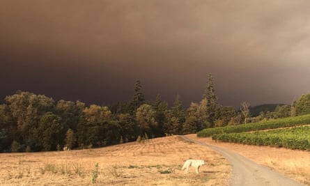 Wildfire smoke near Hope Well Wine’s vineyards in Salem, Oregon.