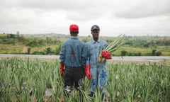 Uniforms for pineapple farm workers made from waste fabric by the Revival in Ghana.