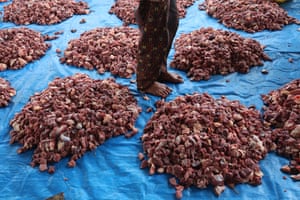 A person stands on a blue plastic sheet among piles of raw cubed beef