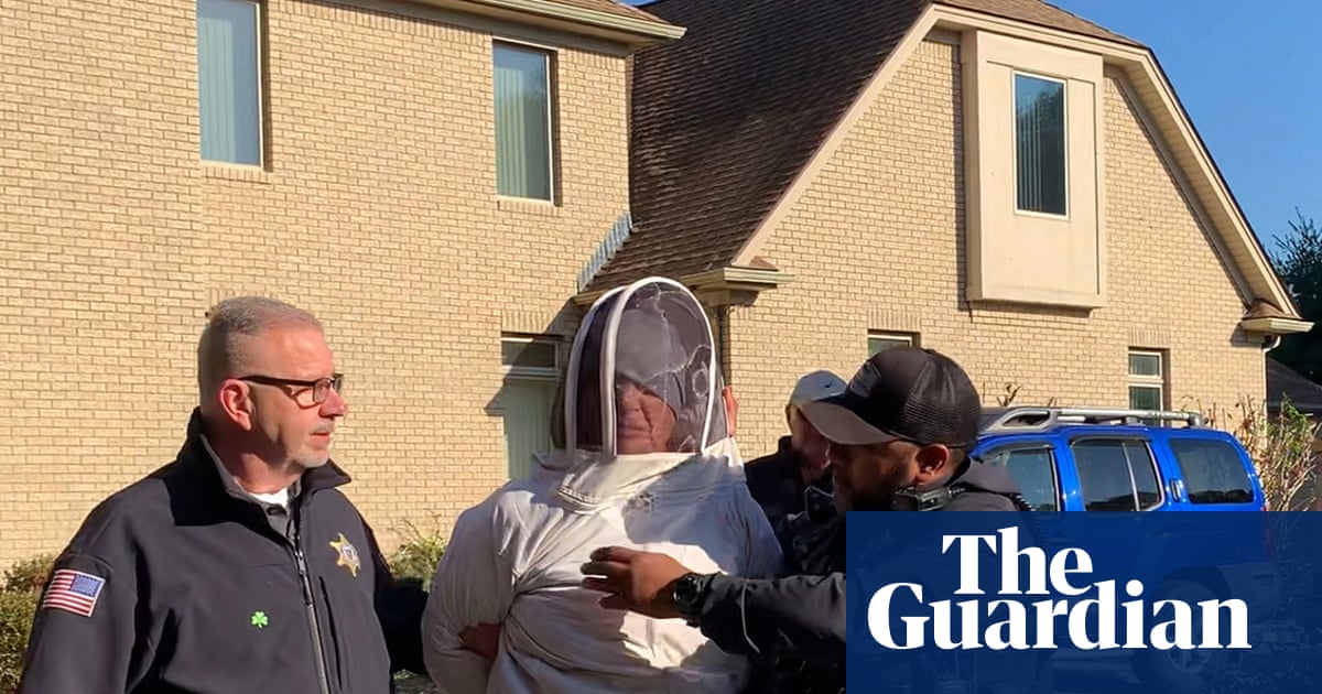 Beekeeper jailed after releasing insects on authorities trying to evict her friend