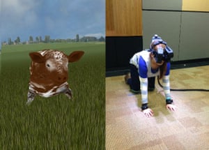 In the cow virtual reality experience, participants walked around a virtual pasture on all fours, were jabbed by a cattle prod, and told they were to be loaded on to a truck