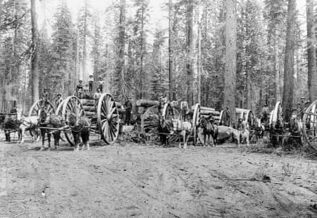 Loggers move wood with horses and wagons