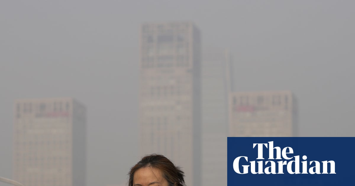Frailty in ageing populations worsened by air pollution, global review finds