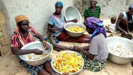 Women sit on the floor in their village with large bowls of mushrooms that they have harvested in Benin.