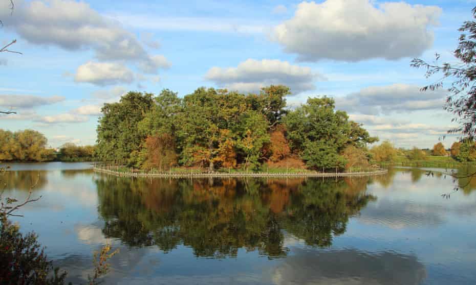 Walthamstow Wetlands on a sunny autumn day.