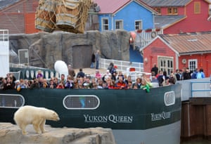 Cold comforts … visitors and bear at Hanover zoo’s Yukon Bay zone.