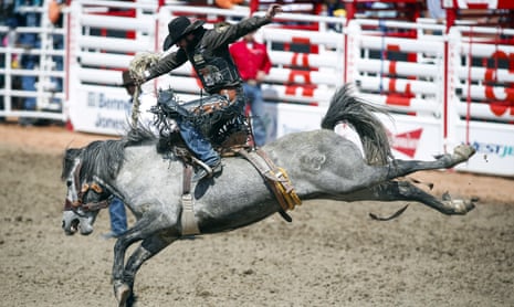 American Bull Rope Mastery: Tips for Rodeo Success