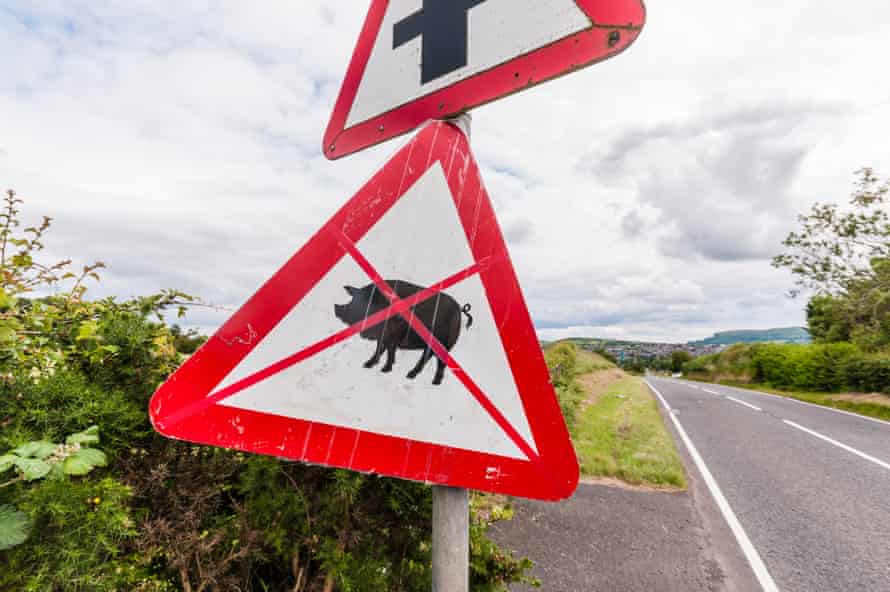 A crossed out pig sign on a roadside in Newtownabbey, Northern Ireland, over plans to build the UK's biggest pig farm, 2015.
