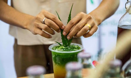 Thai healthcare workers infuse ganga extract into a multi tiered beverage