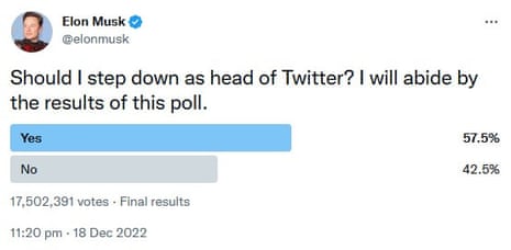 A screengrab showing the results of Elon Musk's Twitter poll results on Monday that said he should step down as chief executive of the social media company.