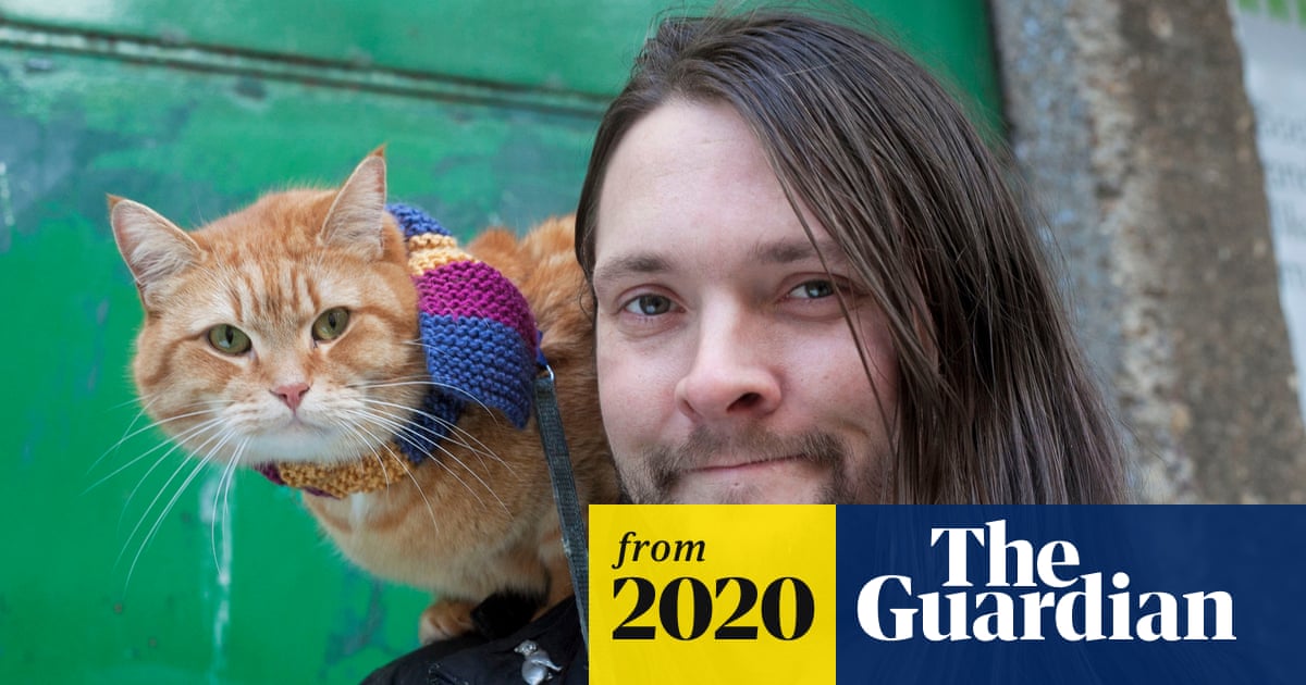 A Street Cat Named Bob Toy: Irresistible Collectible for Fans