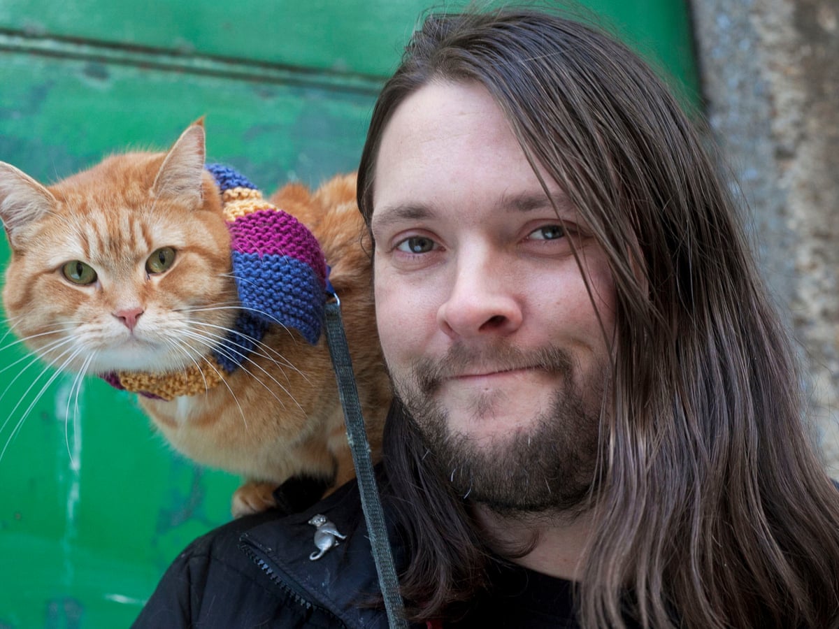 Street Cat Named Bob Died After Being Hit By A Car As Owner Says He Was My Best Friend