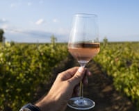 A hand holding a glass of rose wine in front of vineyard