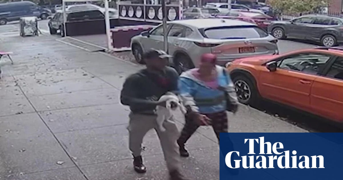 A Brooklyn bodega cat was stolen – and a community has rallied to try to find him