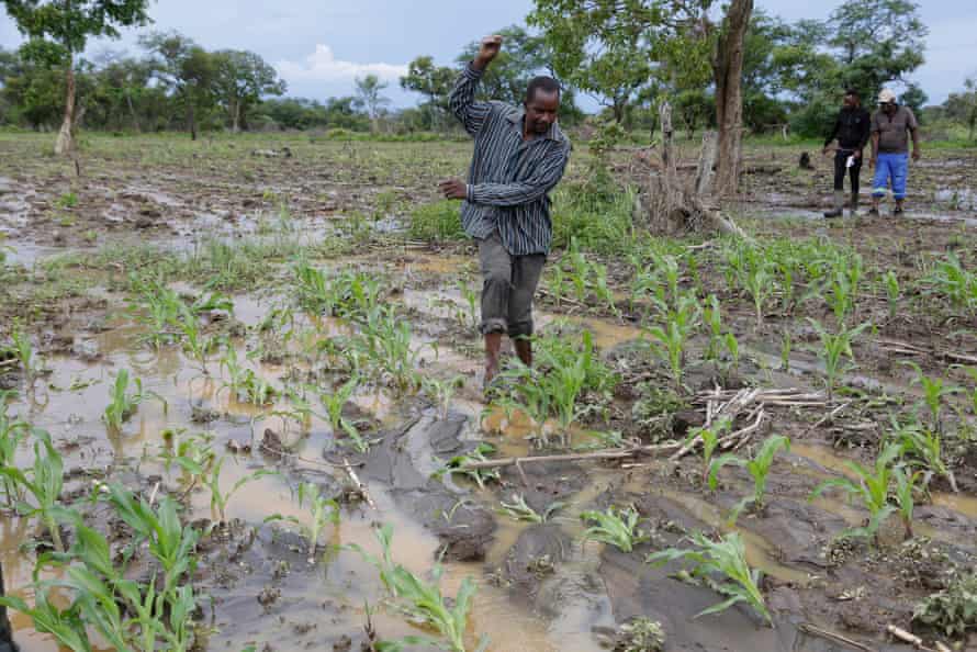 Heavy rains destroy crops in Zimbabwe, January 2022. The country suffers acute food insecurity.