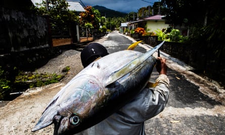 A yellowfin tuna caught by hand line off Sangihe Island in Indonesia