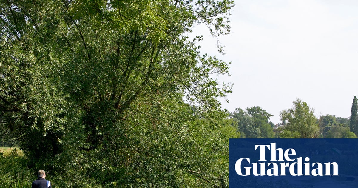 Art trails, swimming spots and punt safaris, all easily accessible from Cambridge’s new train station