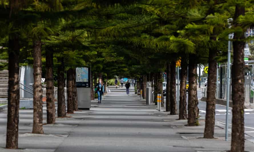 an empty tree lined boulevard