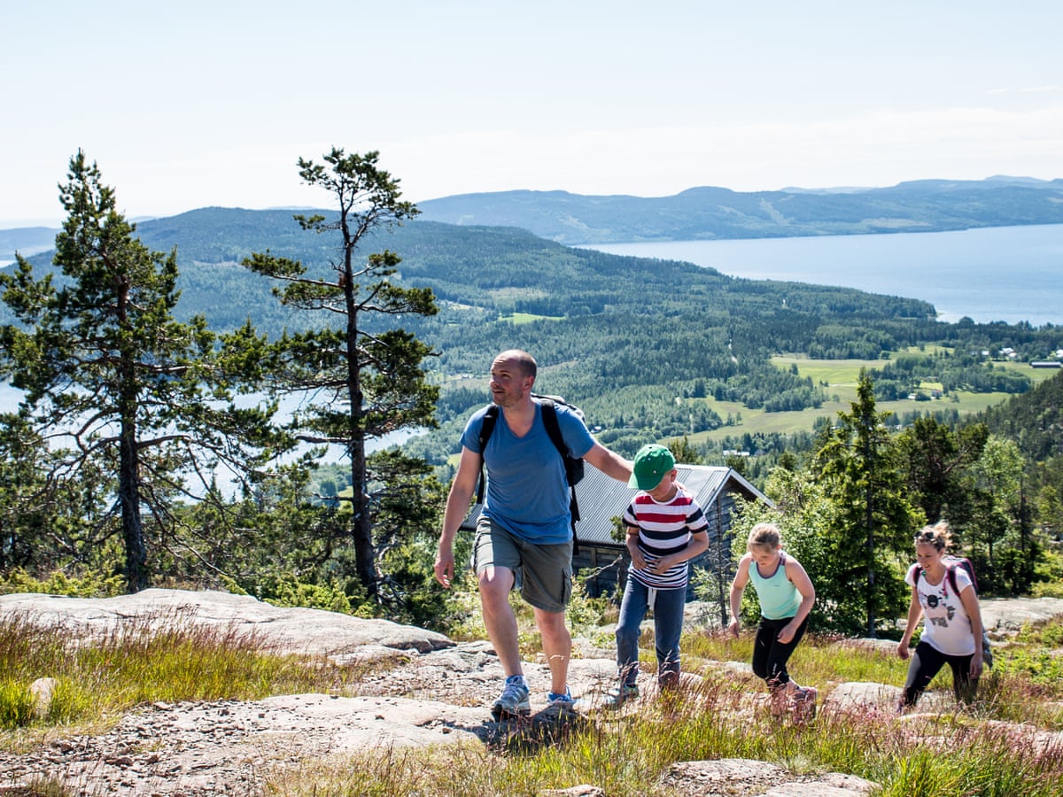Sweden's High Coast: an uplifting experience | | The Guardian