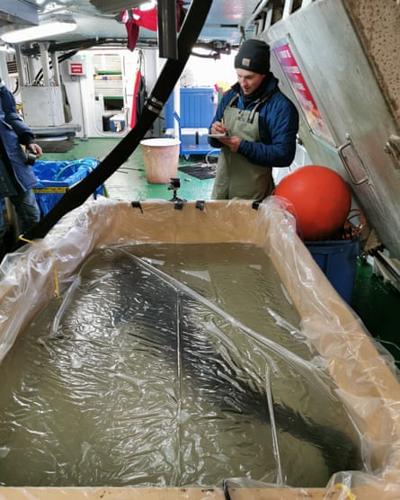 Man taking notes on a boat deck, looking into what looks like a shark in a tank.