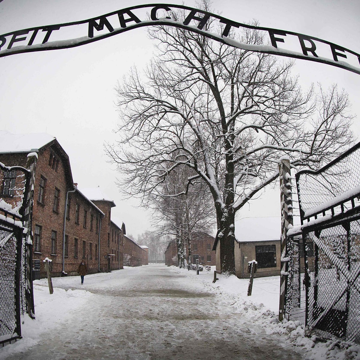 Former Auschwitz Paramedic 95 To Go On Trial In Germany Next Month Germany The Guardian Former Auschwitz Paramedic 95 To Go On Trial In Germany Next Month Germany The Guardian