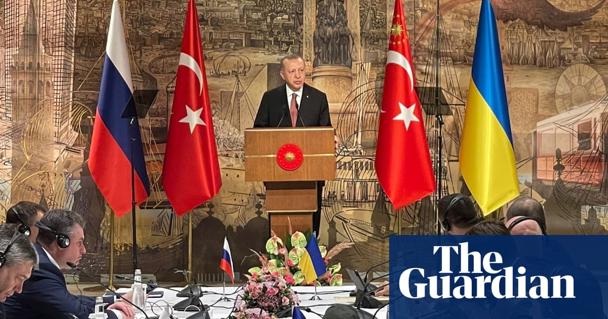 Turkey leads pack of countries vying to mediate between Ukraine and Russia