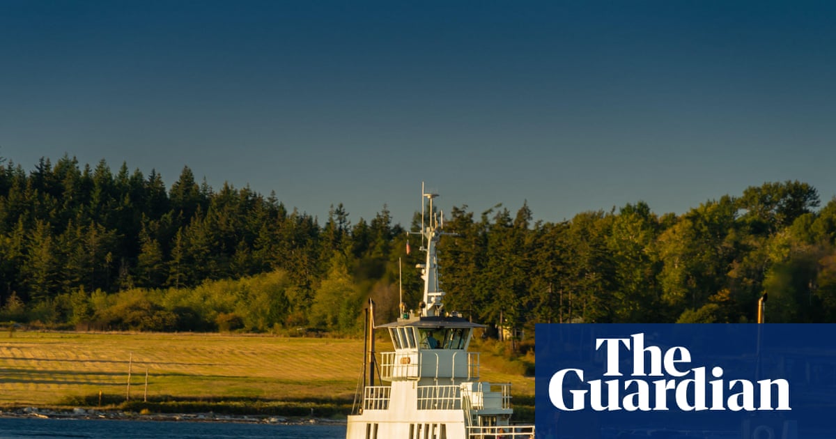 Washington officials say 21 dead canines that washed ashore were foxes, solving local mystery Washington officials say 21 dead canines that washed ashore were foxes, solving local mystery