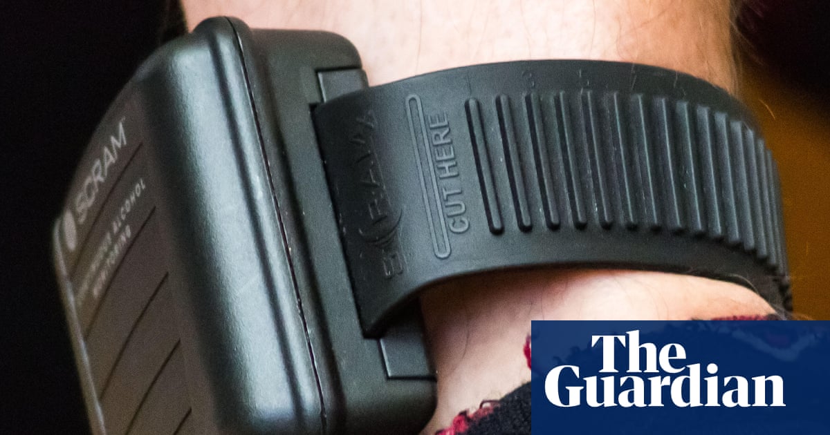 Expansion of electronic tagging in England and Wales will put public at risk, watchdog warns