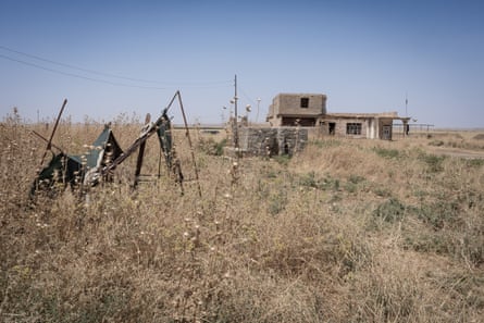 An abandoned house surrounded by overgrown vegetation