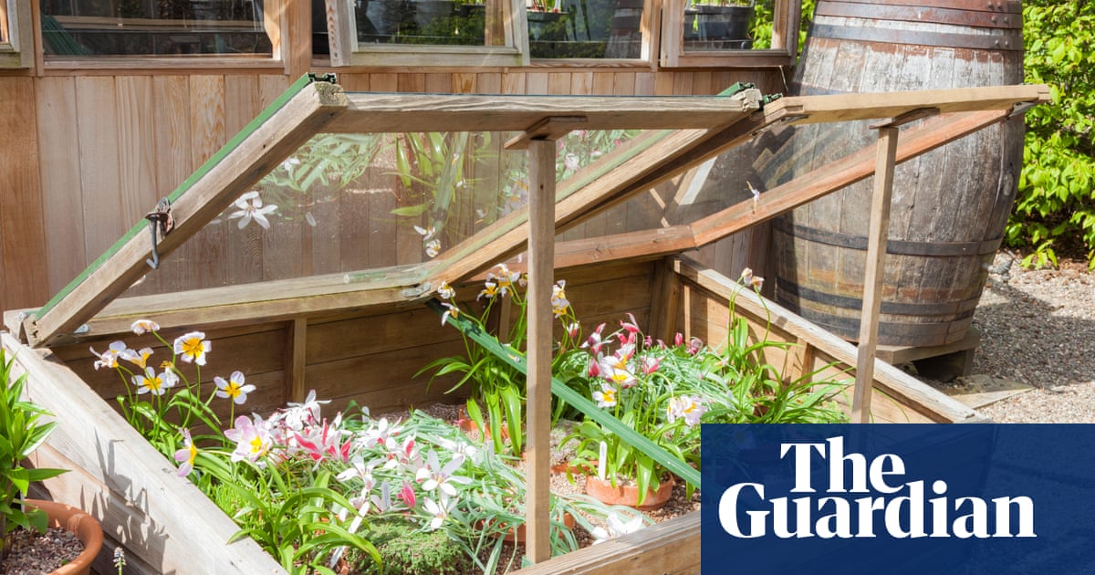 While I dream of garden greenhouses, a coldframe will do me just fine