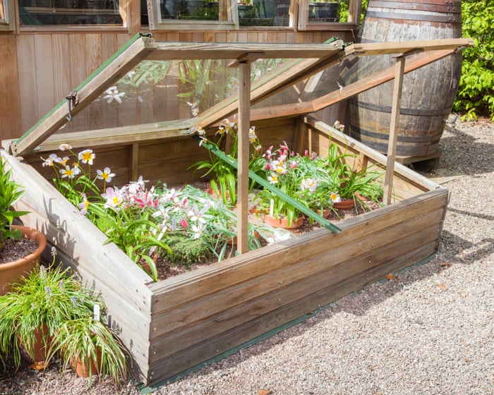 While I dream of garden greenhouses, a coldframe will do me just fine