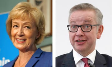 Andrea Leadsom and Michael Gove