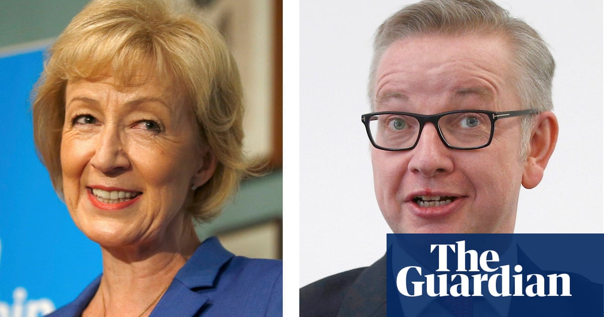 Michael Gove and Andrea Leadsom to stand down at general election Michael Gove and Andrea Leadsom to stand down at general election