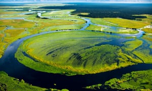 Likouala-aux-Herbes river near in Congo-Brazzaville.