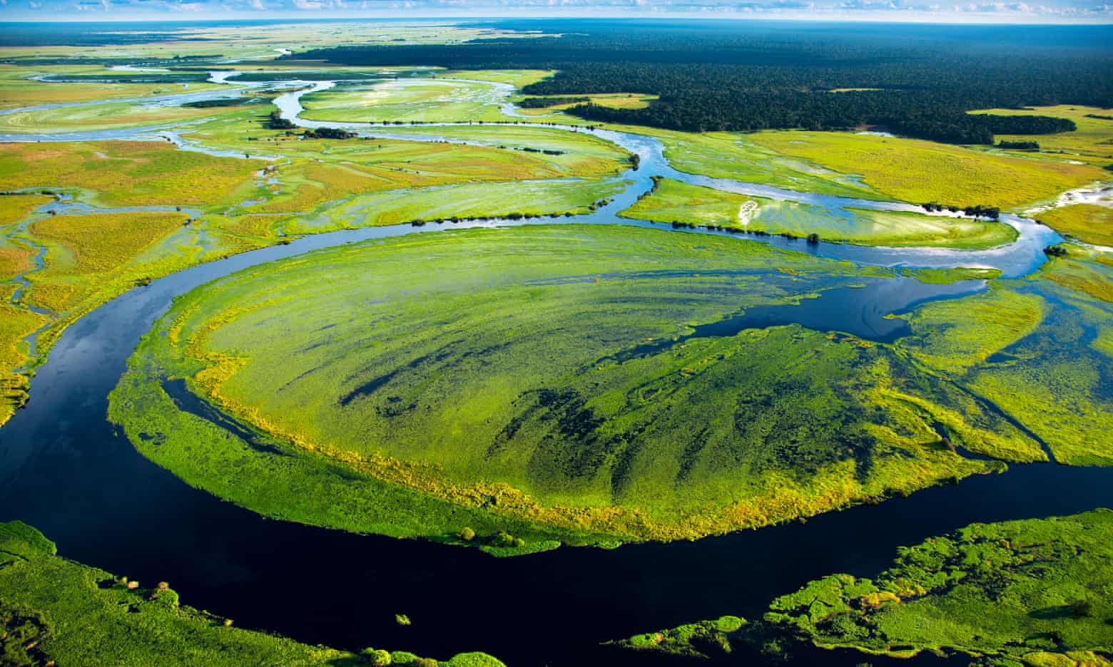 WE ARE DESTROYING RAINFORESTS SO QUICKLY THEY MAY BE GONE IN 100 YEARS WE ARE DESTROYING RAINFORESTS SO QUICKLY THEY MAY BE GONE IN 100 YEARS