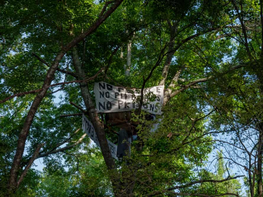 The activists’ treehouse.