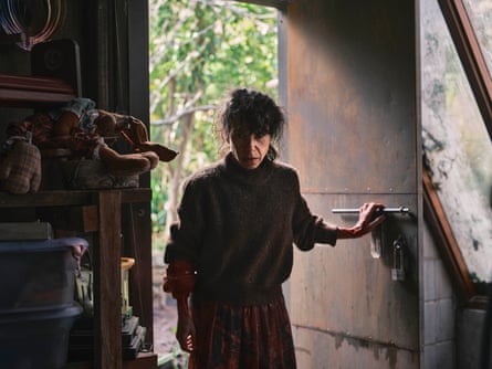 Sally Hawkins with frizzy hair wearing a brown sweater and skirt, stands in the doorway of an outdoor shed, with the trees outside in the background