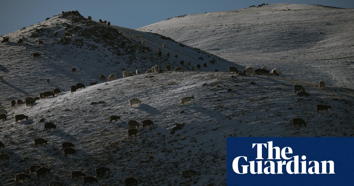 The cashmere trail: On the road with the Mongolian nomadic community